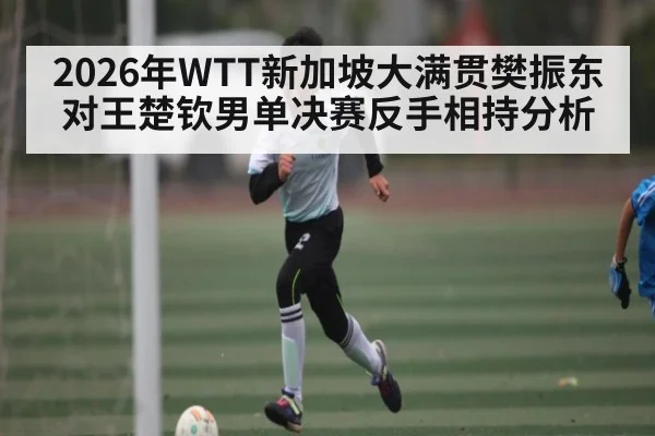 2026年WTT新加坡大满贯樊振东对王楚钦男单决赛反手相持分析